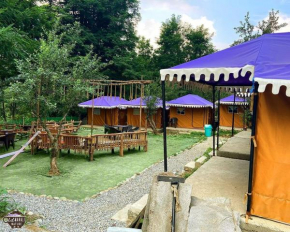 Old Manali Nature Camp & Cafe